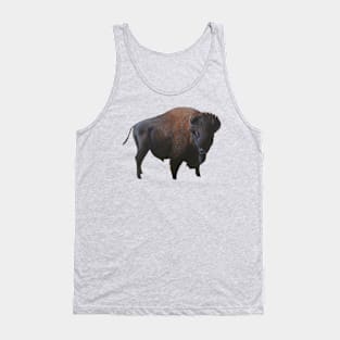 Buffalo Prairie King Tank Top